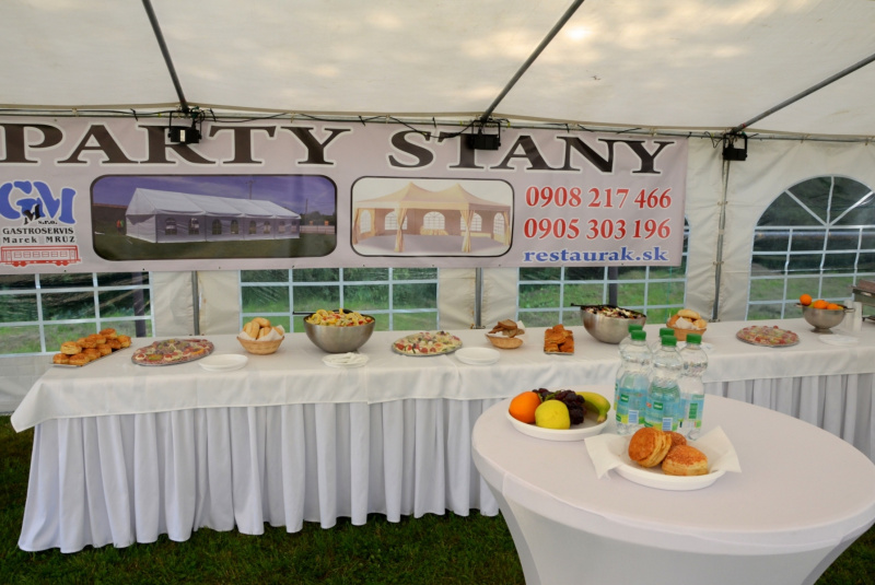 Party stany